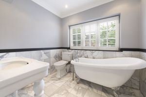 Photo 12- click for photo gallery